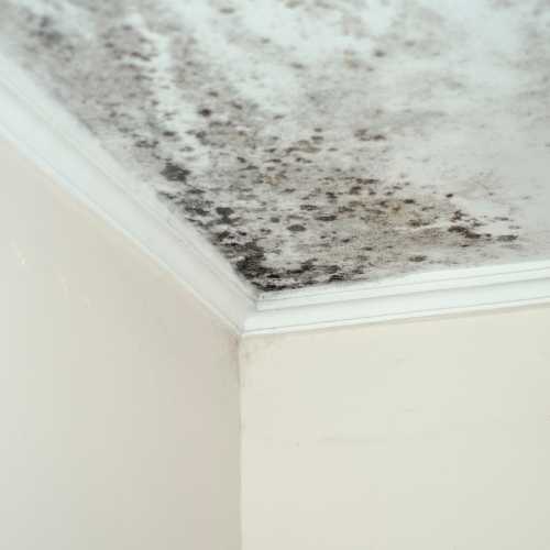 Expertise humidité Expertise humidité de votre bien